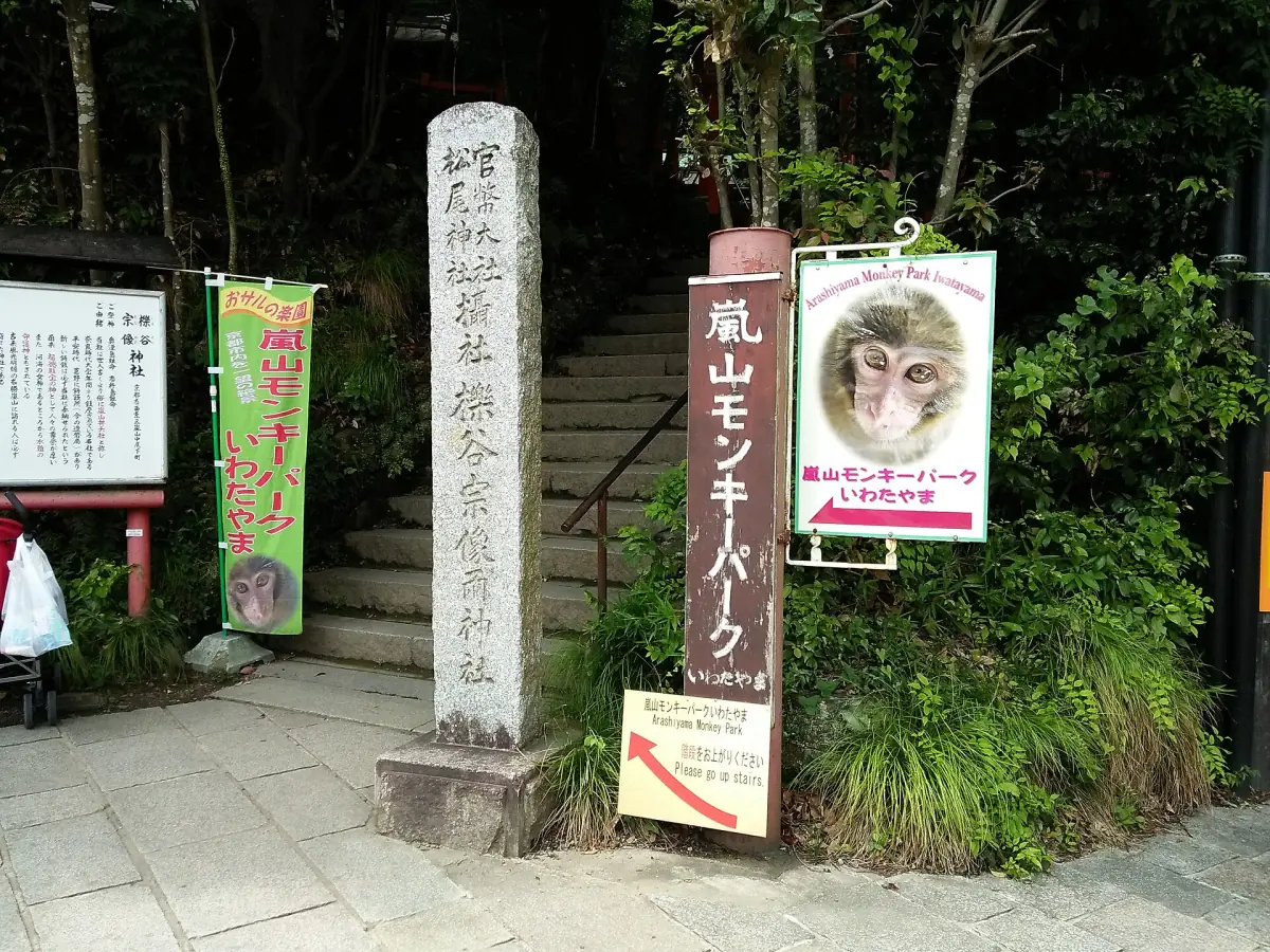 A macaque at Monkey Park Iwatayama