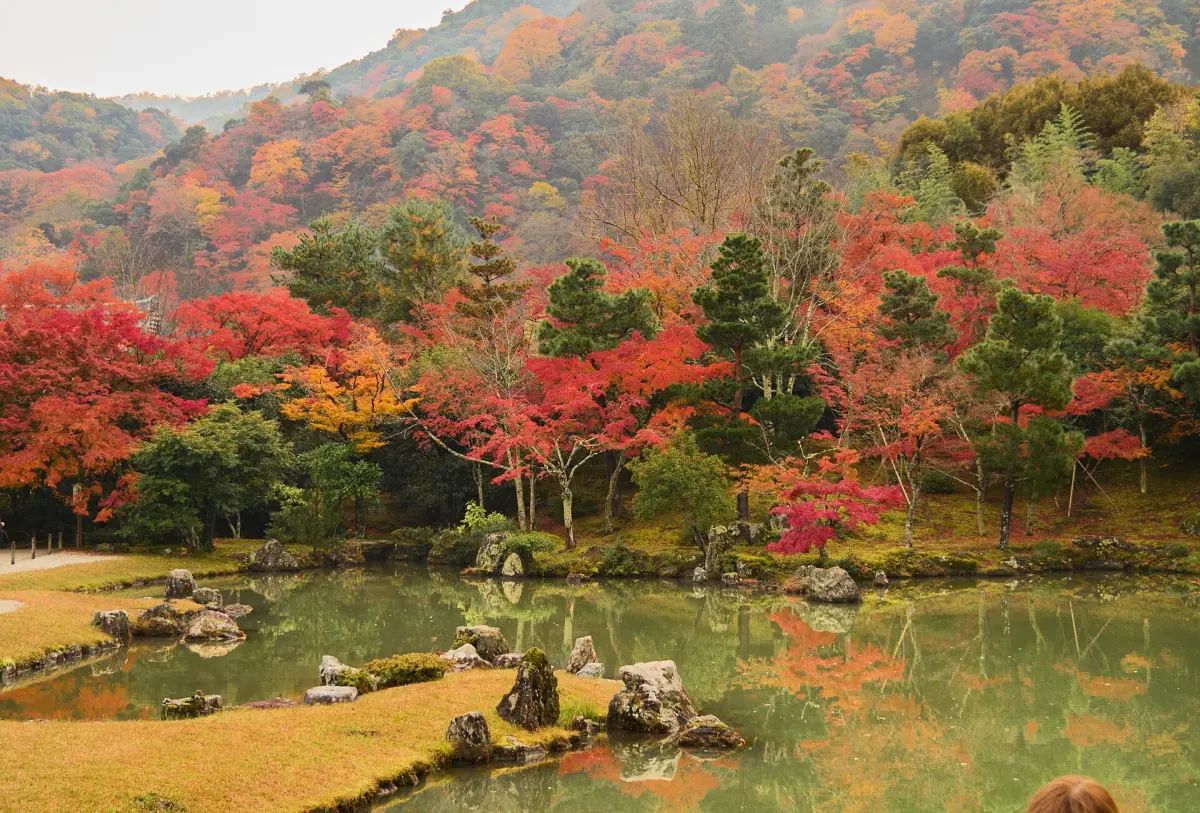 Pond and moss in the Tenryū-ji garden